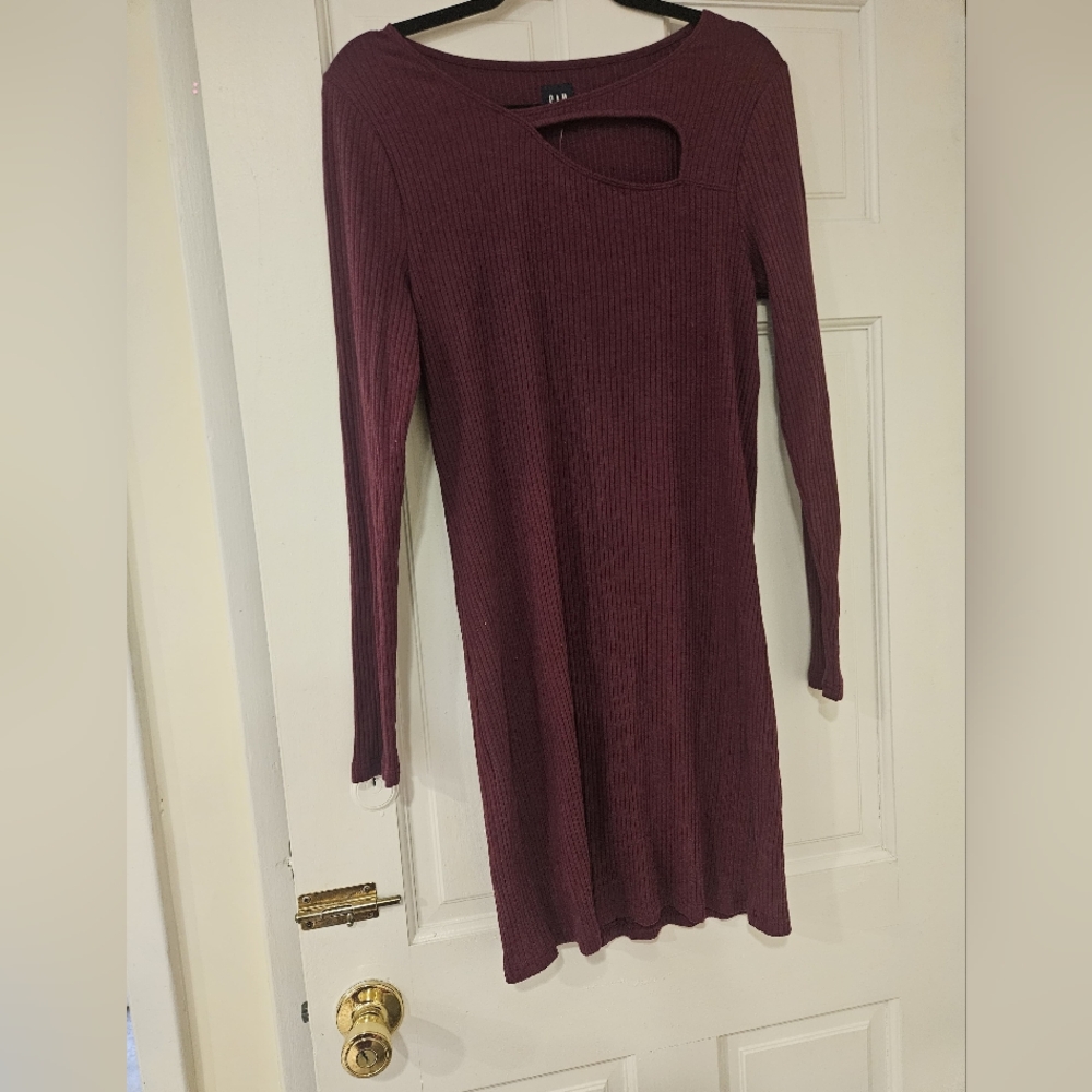 Gap Sweatet Dress